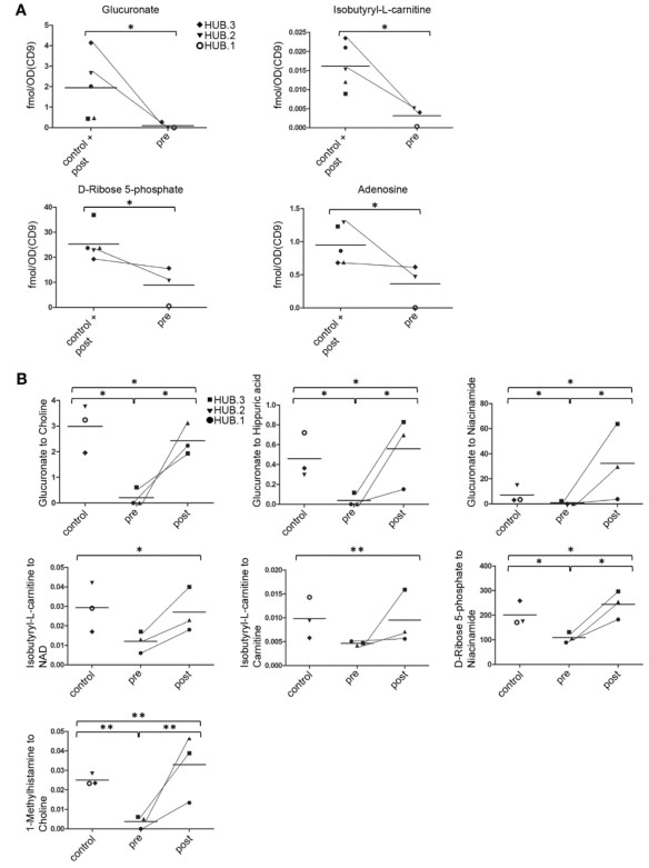 LDH Cytotoxicity Assay